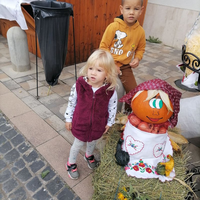 Helyi Értékek Startja 02